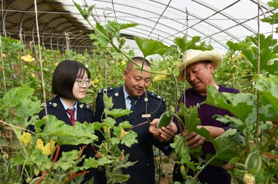 戈壁灘上“菜園子”直通“菜籃子”，水產(chǎn)養(yǎng)殖助力現(xiàn)代農(nóng)業(yè)展宏圖
