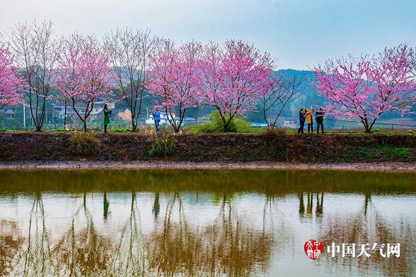 血栓堵塞，身體會(huì)發(fā)出哪些信號(hào)？如何保護(hù)我們的血管？